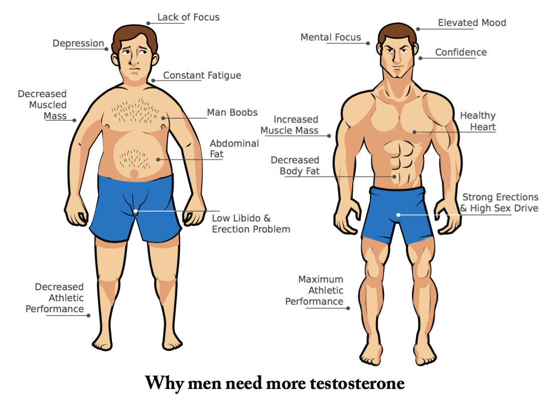 Why Men Need More Testosterone